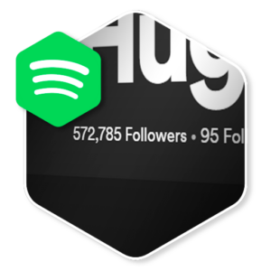Seguidores para Spotify